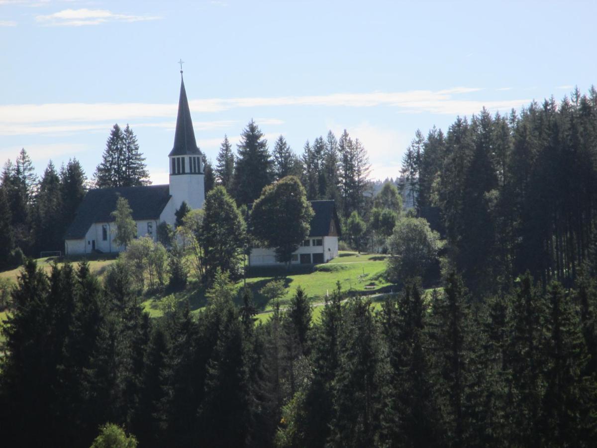 Haus Steininger Daire Schluchsee Dış mekan fotoğraf