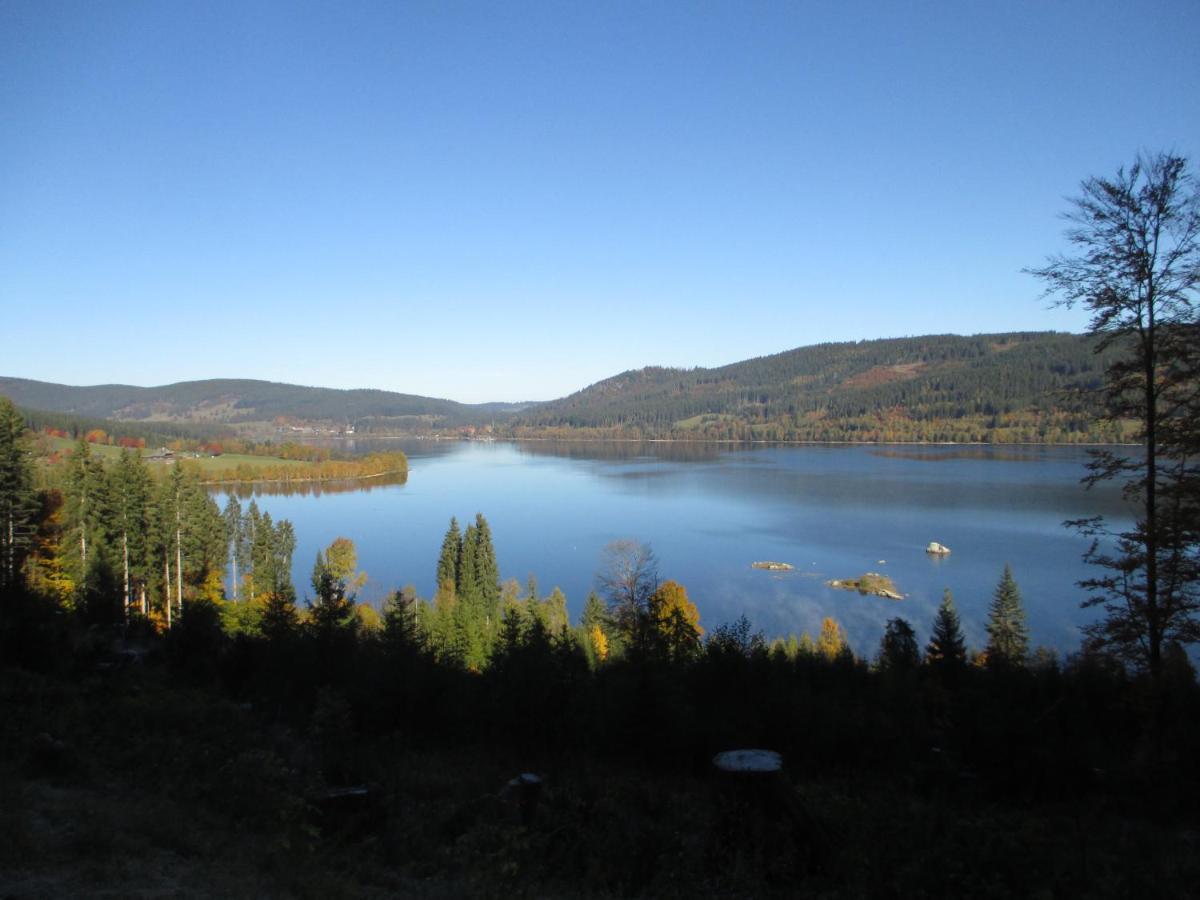 Haus Steininger Daire Schluchsee Dış mekan fotoğraf