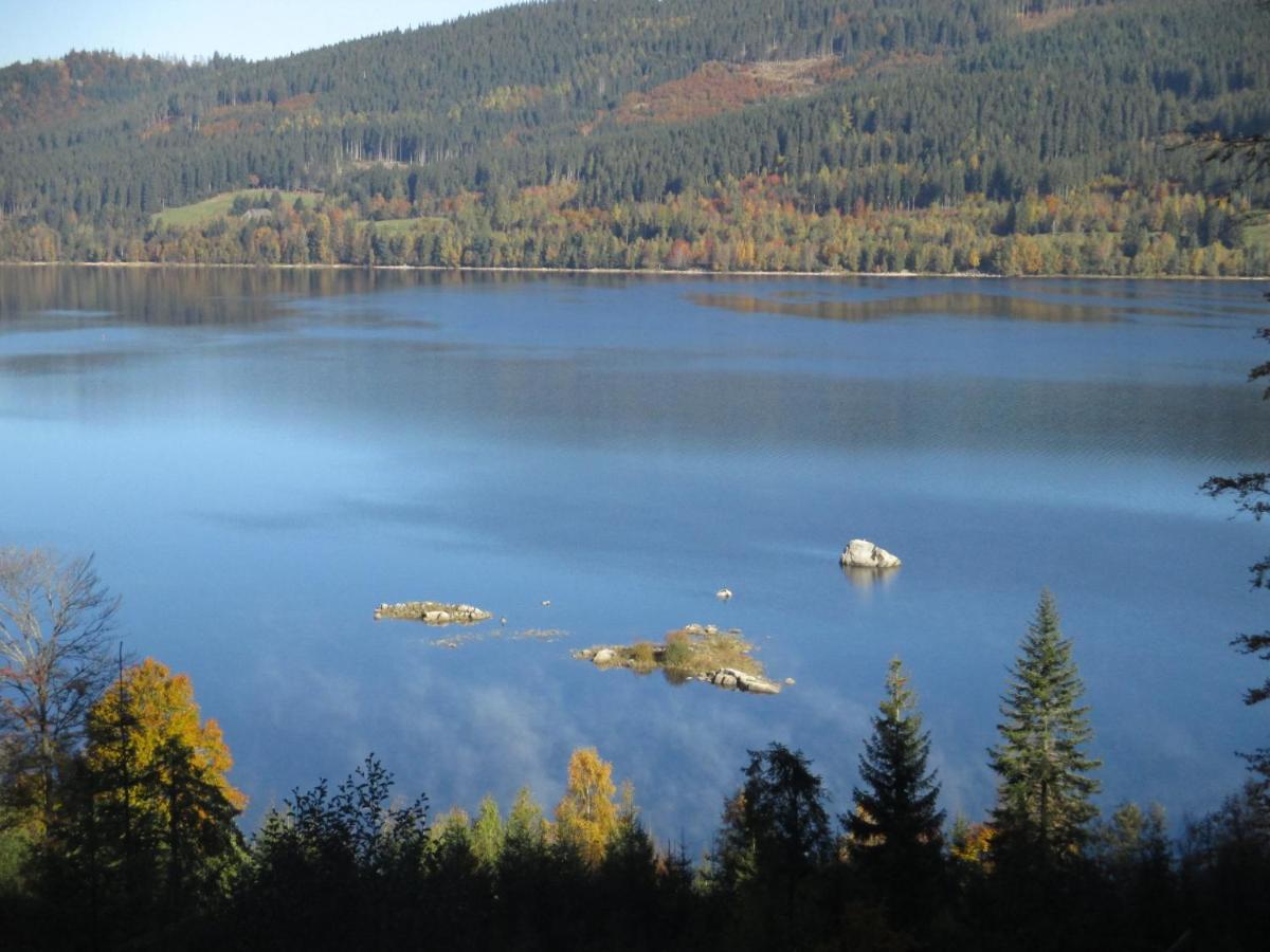 Haus Steininger Daire Schluchsee Dış mekan fotoğraf