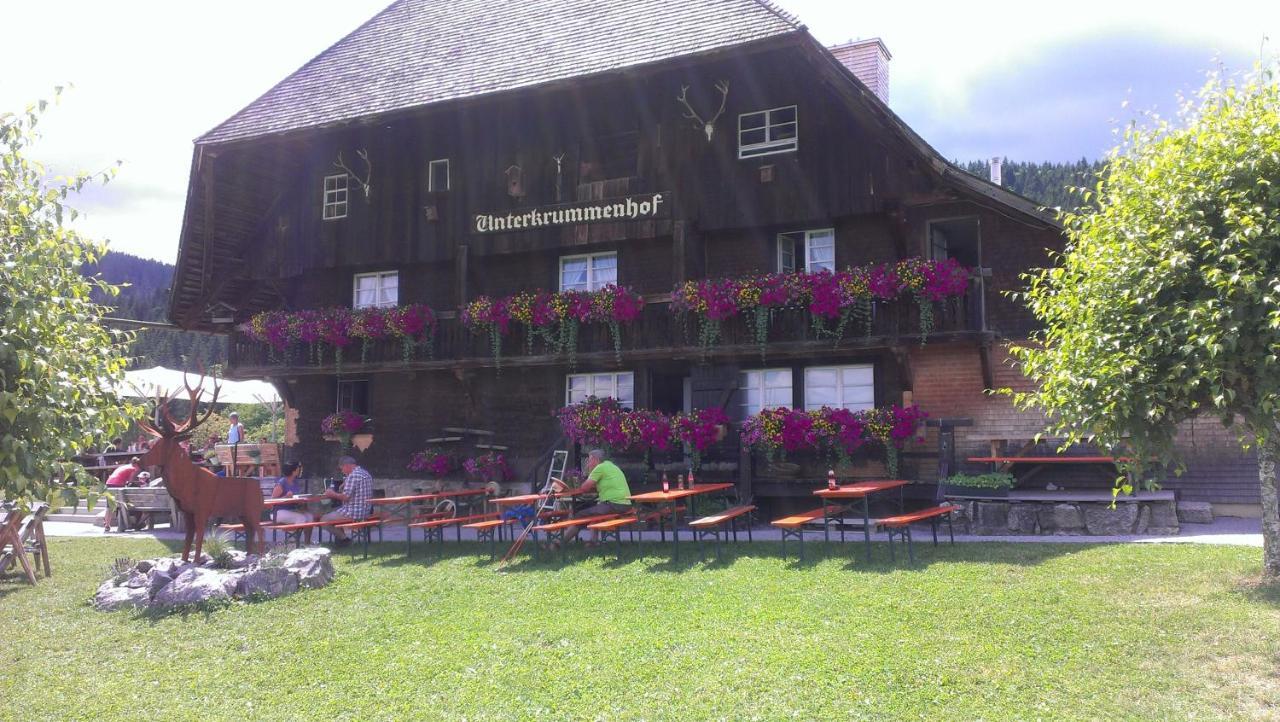 Haus Steininger Daire Schluchsee Dış mekan fotoğraf