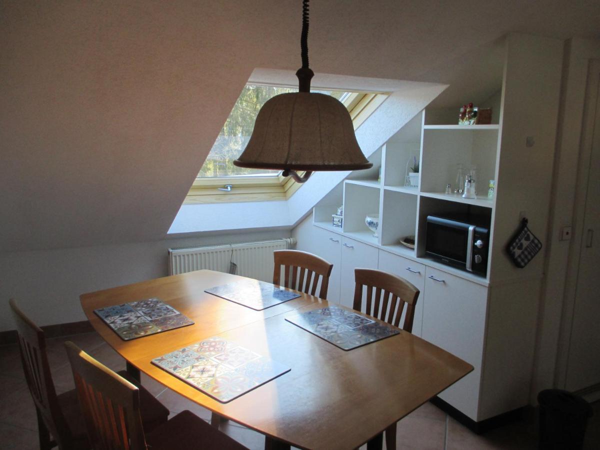 Haus Steininger Daire Schluchsee Dış mekan fotoğraf